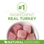 Purina ONE® +Plus Indoor Advantage Adult Cat Dry Food - Turkey, Natural, High-Protein - Image 4