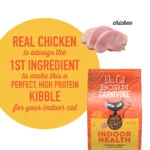 Tiki Cat® Born Carnivore Indoor Health Cat Food - Grain & Potato Free, High Protein - Image 3
