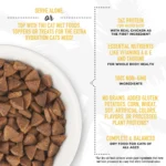 Tiki Cat® Born Carnivore Indoor Health Cat Food - Grain & Potato Free, High Protein - Image 4