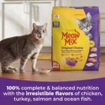 Meow Mix Original Choice Dry Cat Food All Ages, Chicken, Turkey, Salmon, Ocean Fish - Image 4