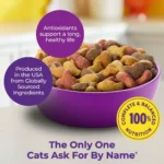 Meow Mix Original Choice Dry Cat Food All Ages, Chicken, Turkey, Salmon, Ocean Fish - Image 5
