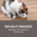 Simply Nourish® Original Cat Dry Food - Chicken & Brown Rice, Natural, With-Grain - Image 3