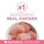 Purina ONE® +Plus Healthy Kitten Dry Cat Food - Chicken, High-Protein, Natural - Image 3
