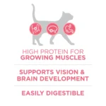 Purina ONE® +Plus Healthy Kitten Dry Cat Food - Chicken, High-Protein, Natural - Image 5