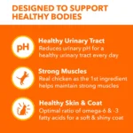IAMS™ Proactive Health Adult Dry Cat Food - Urinary Tract Health, Chicken - Image 3