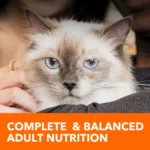 IAMS™ Proactive Health Adult Dry Cat Food - Urinary Tract Health, Chicken - Image 5