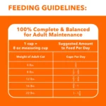 IAMS™ Proactive Health Adult Dry Cat Food - Urinary Tract Health, Chicken - Image 9