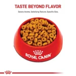 Royal Canin Feline Adult Dry Cat Food Care Nutrition, Digestive Care - Image 2