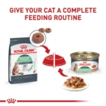 Royal Canin Feline Adult Dry Cat Food Care Nutrition, Digestive Care - Image 6