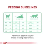 Royal Canin Feline Adult Dry Cat Food Care Nutrition, Digestive Care - Image 9