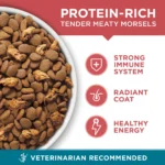 Purina® ONE® Tender Selects Adult Cat Dry Food - Salmon - Image 3