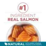 Purina® ONE® Tender Selects Adult Cat Dry Food - Salmon - Image 4
