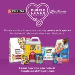 Purina® Cat Chow® Naturals Adult Cat Dry Food - Chicken, Natural, No Artificial Flavors - Image 5