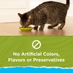 Purina® Cat Chow® Naturals Adult Cat Dry Food - Chicken, Natural, No Artificial Flavors - Image 7