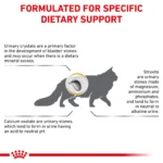 Royal Canin® Veterinary Diet Feline Urinary SO Adult Dry Cat Food - Image 4