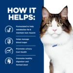 Hill's® Prescription Diet w/d Multi-Benefit Digestive/Weight/Glucose/Urinary Management Dry Cat Food - Image 6