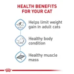 Royal Canin Feline Adult Dry Cat Food Care Nutrition, Weight Care - Image 4