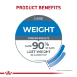 Royal Canin Feline Adult Dry Cat Food Care Nutrition, Weight Care - Image 5