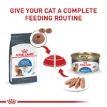 Royal Canin Feline Adult Dry Cat Food Care Nutrition, Weight Care - Image 6