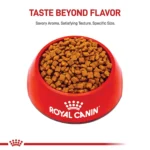 Royal Canin Feline Kitten Dry Cat Food, Health Nutrition for Kittens - Image 2