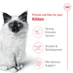 Royal Canin Feline Kitten Dry Cat Food, Health Nutrition for Kittens - Image 3
