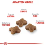 Royal Canin Feline Kitten Dry Cat Food, Health Nutrition for Kittens - Image 4