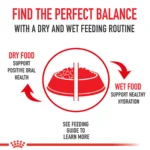 Royal Canin Feline Kitten Dry Cat Food, Health Nutrition for Kittens - Image 5