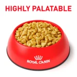 Royal Canin® Veterinary Diet Feline Hydrolyzed Protein HP Adult Dry Cat Food - Image 3