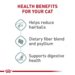 Royal Canin Feline Adult Dry Cat Food Care Nutrition, Hairball Care - Image 4