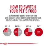 Royal Canin Feline Adult Dry Cat Food Care Nutrition, Hairball Care - Image 5