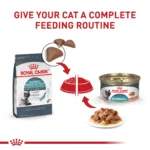 Royal Canin Feline Adult Dry Cat Food Care Nutrition, Hairball Care - Image 7