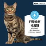 Authority® Everyday Health Adult Cat Wet Food - 5.5 Oz, Flaked in Gravy - Image 2