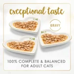 Purina® Fancy Feast® Gravy Lovers Wet Cat Food - Poultry & Beef, Variety Pack, 3 Oz, 30 Count - Image 2