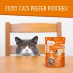 Cats in the Kitchen Originals Wet Cat Food - 3 oz, Flaked in Pumpkin Soup - Image 7