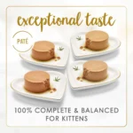 Fancy Feast® Kitten Classic Pate Wet Cat Food - Variety Pack, 3 Oz, 24 Count, Real Milk - Image 3