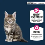 Authority® Everyday Health Indoor Kitten Cat Wet Food - Variety Pack, 12 CT, 36 OZ - Image 2