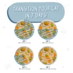 Weruva Classics Wet Cat Food - Shreds in Pumpkin Soup, 3 OZ - Image 5