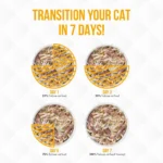 Weruva TruLuxe Wet Cat Food - Shreds in Pumpkin Soup, 3 OZ - Image 5