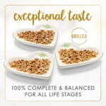 Fancy Feast® All Life Stages Cat Wet Food - Grilled, Seafood, Variety Pack, 3 OZ - Image 2