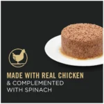 Purina Pro Plan Savor Adult Wet Cat Food - Antioxidants, Corn Free, 5.5 Oz - Image 2