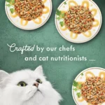 Fancy Feast® Medleys Adult Cat Wet Food - Primavera Collection, Variety Pack, 12 CT, 36 OZ - Image 6