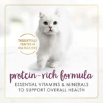 Fancy Feast® Gravy Lovers All Life Stages Cat Wet Food - 3 OZ - Image 3