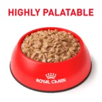 Royal Canin® Veterinary Diet Feline Urinary SO Adult Cat Morsels In Gravy Wet Food  3 oz can - Image 3