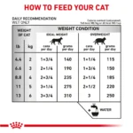 Royal Canin® Veterinary Diet Feline Urinary SO Adult Cat Morsels In Gravy Wet Food  3 oz can - Image 6