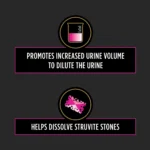 Purina® Pro Plan® Veterinary Diets Cat Food - UR, Urinary St/Ox - Image 3