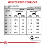 Royal Canin® Veterinary Diet Feline Renal Support D Adult Cat Wet Food in Gravy  3 oz can - Image 8
