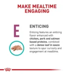 Royal Canin® Veterinary Diet Renal Support E Adult Wet Cat Food - Image 4