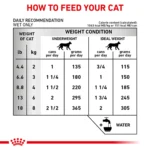 Royal Canin® Veterinary Diet Renal Support E Adult Wet Cat Food - Image 8