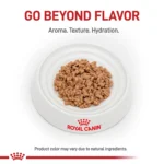 Royal Canin® Veterinary Diet Feline Renal Support T Adult Cat Wet Food in Gravy  3 oz can - Image 2