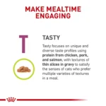 Royal Canin® Veterinary Diet Feline Renal Support T Adult Cat Wet Food in Gravy  3 oz can - Image 4